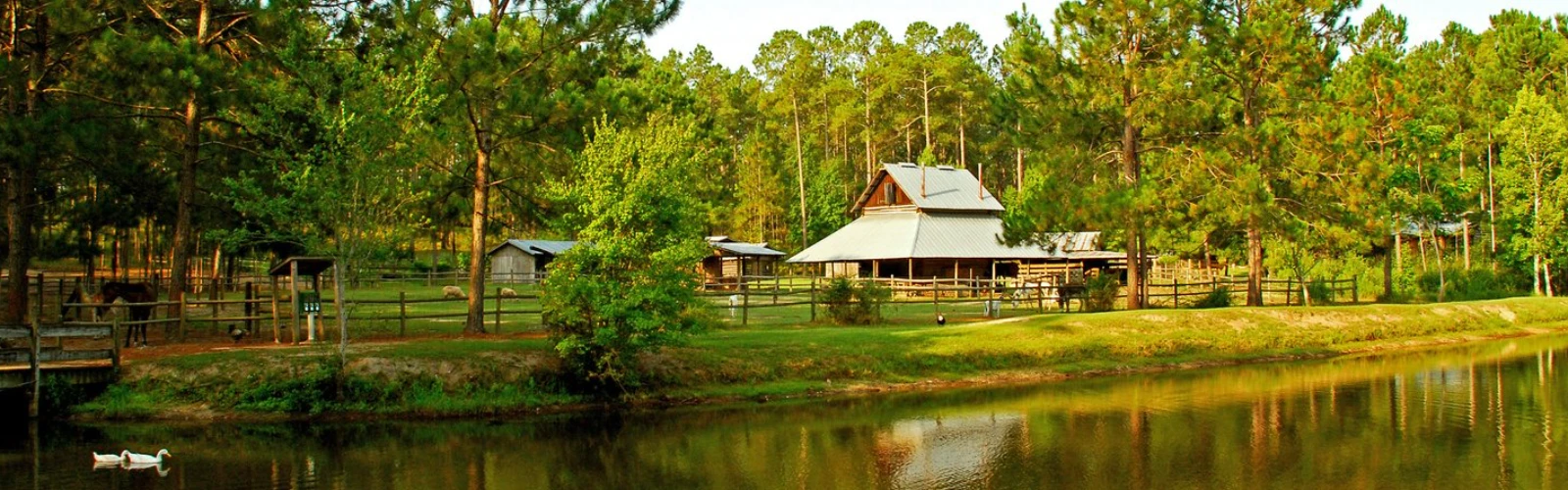 General Coffee State Park Douglas – Complete Guide