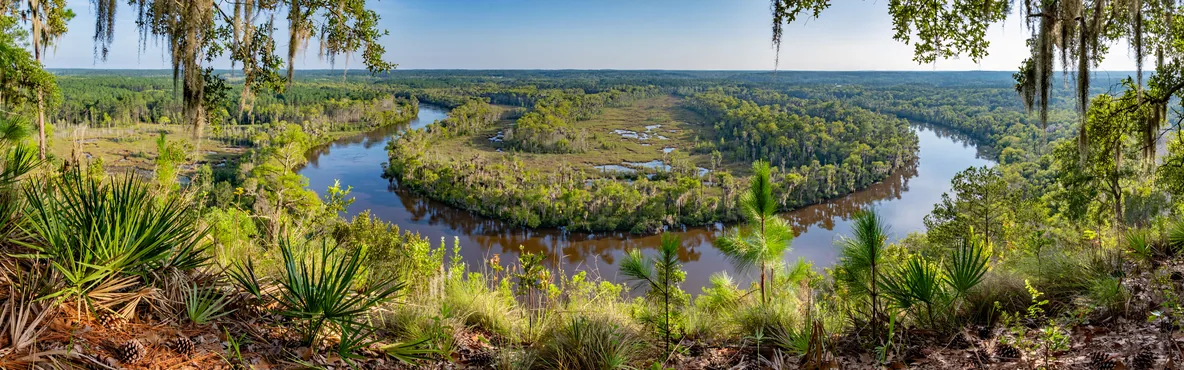 Outdoor Adventures in Douglas, GA: Exploring Nature's Playground