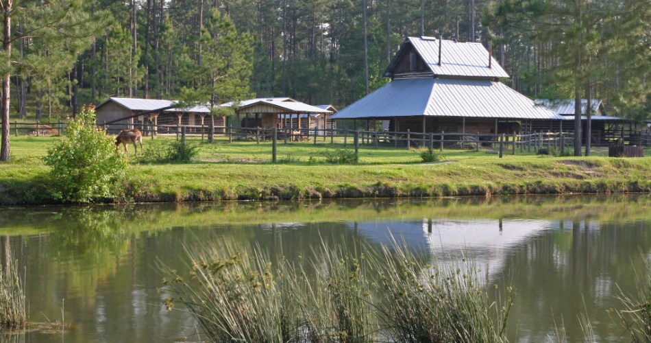 General Coffee State Park Douglas – Complete Guide