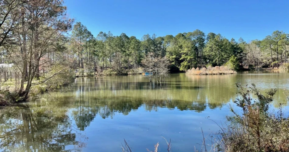 10 Best Things to Do in Douglas, GA