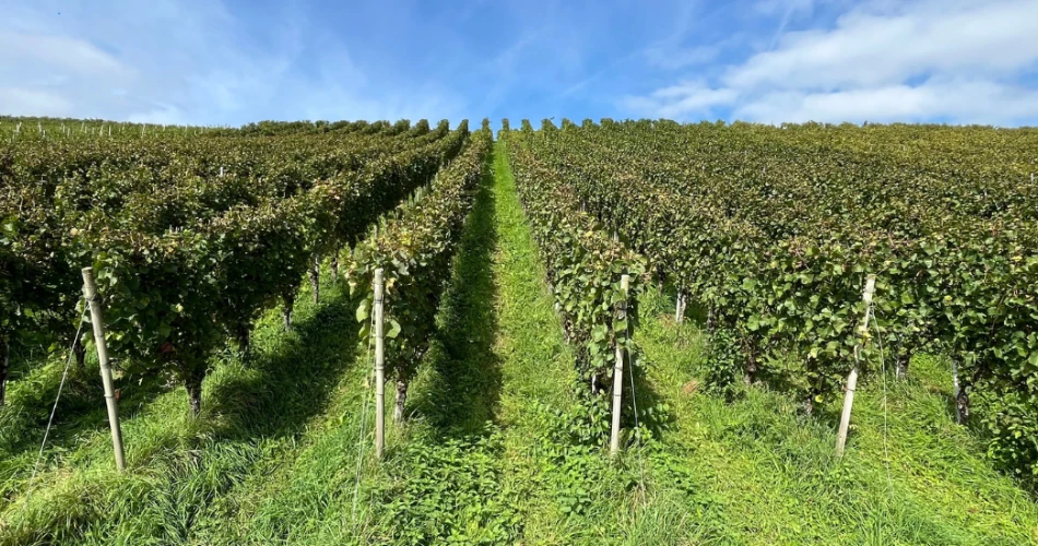 10 Best Attractions in Douglas, GA